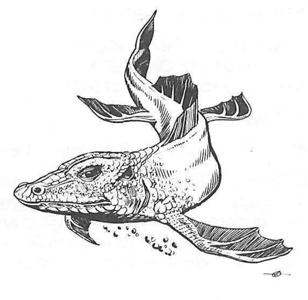Lizard Fish «Cren Tosh»