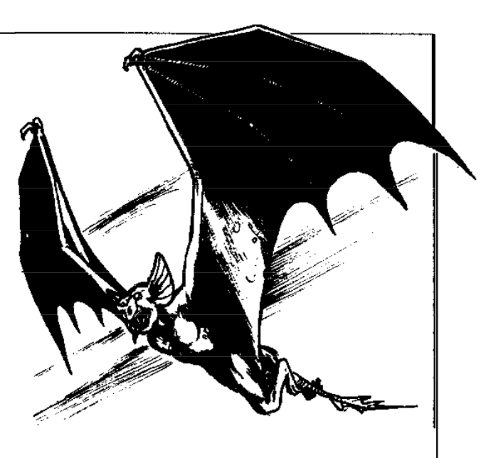 Bat Folk «Dracus»