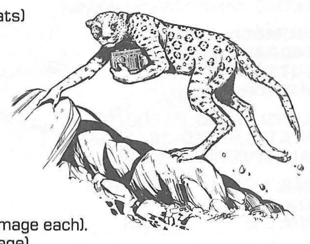 Savannah Cats «Jaget»