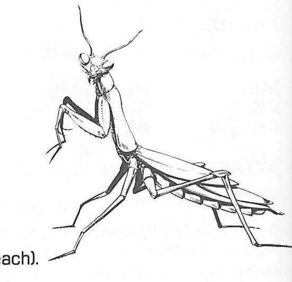 Green Renders «Mantis»