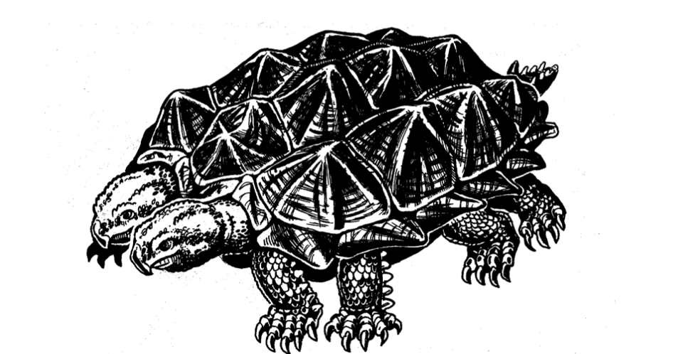 Killer Turtles «Niregs»