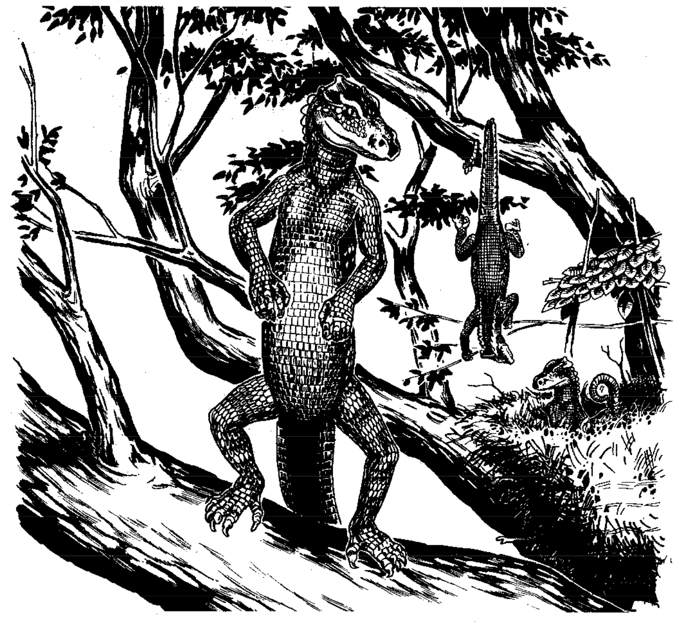 Tree Gator «Screps»
