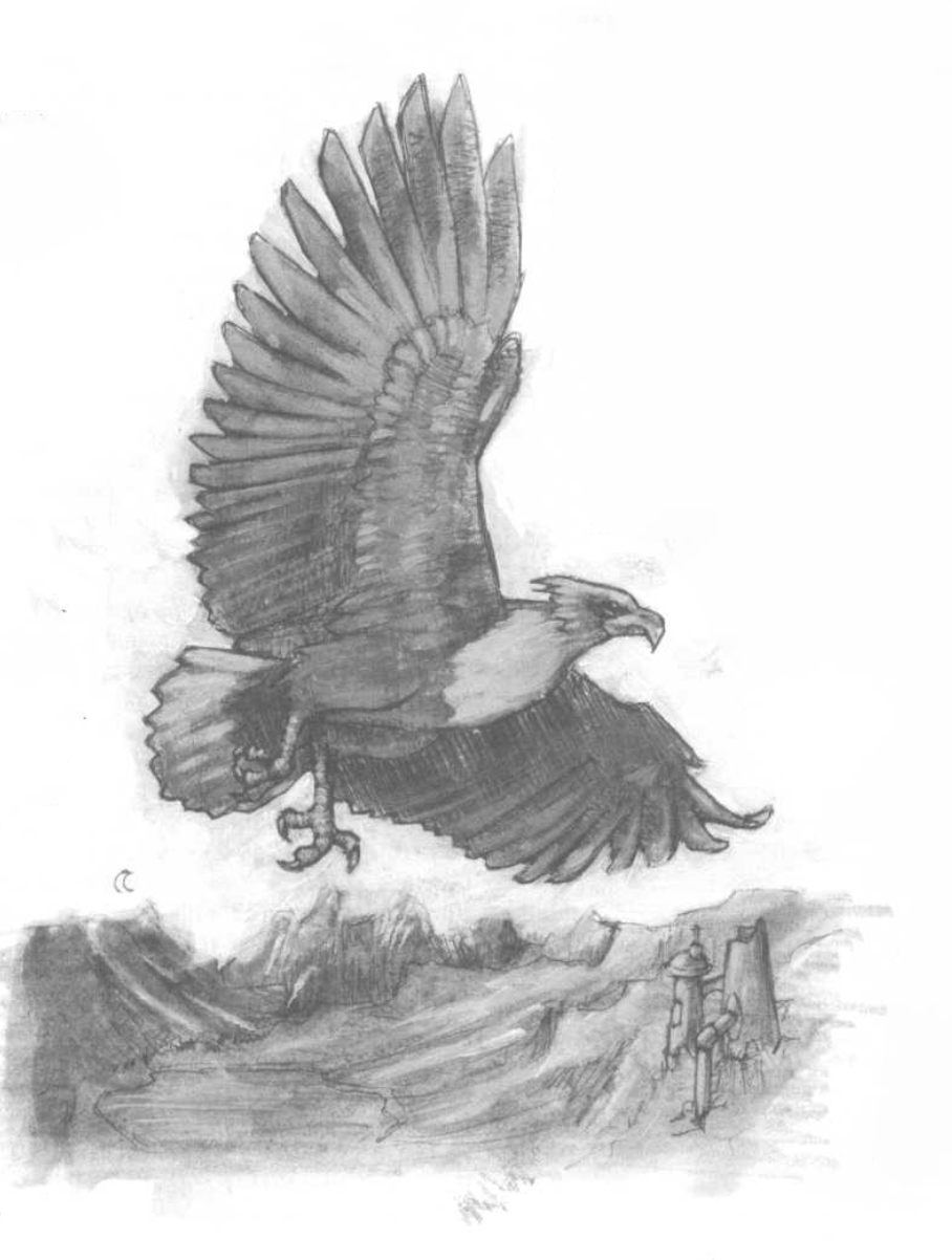 Thunderbird