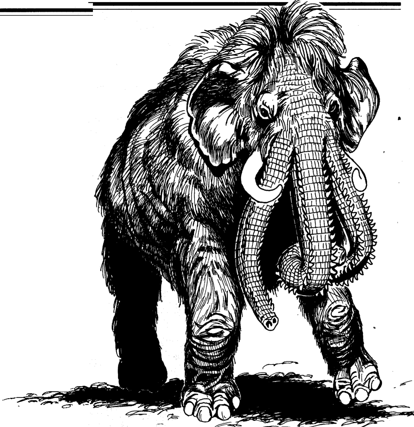 Flailers «Triphants»